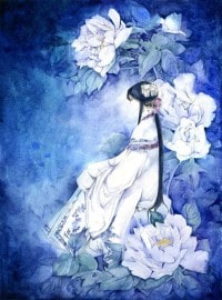 病美人养护指南